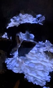 The Mount Ijen Blue Fire, a natural Phenomenon